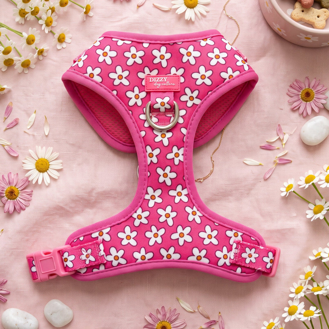 A pink dog harness with a white daisy pattern, laid flat on a pink fabric background decorated with daisies, small white stones, and a bowl of dog treats.