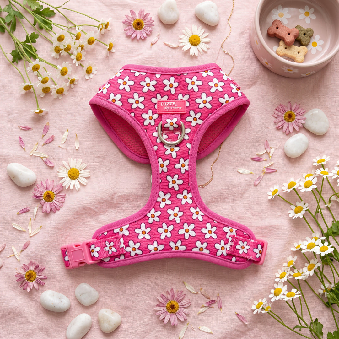 A pink dog harness with a white daisy pattern, laid flat on a pink fabric background decorated with daisies, small white stones, and a bowl of dog treats.