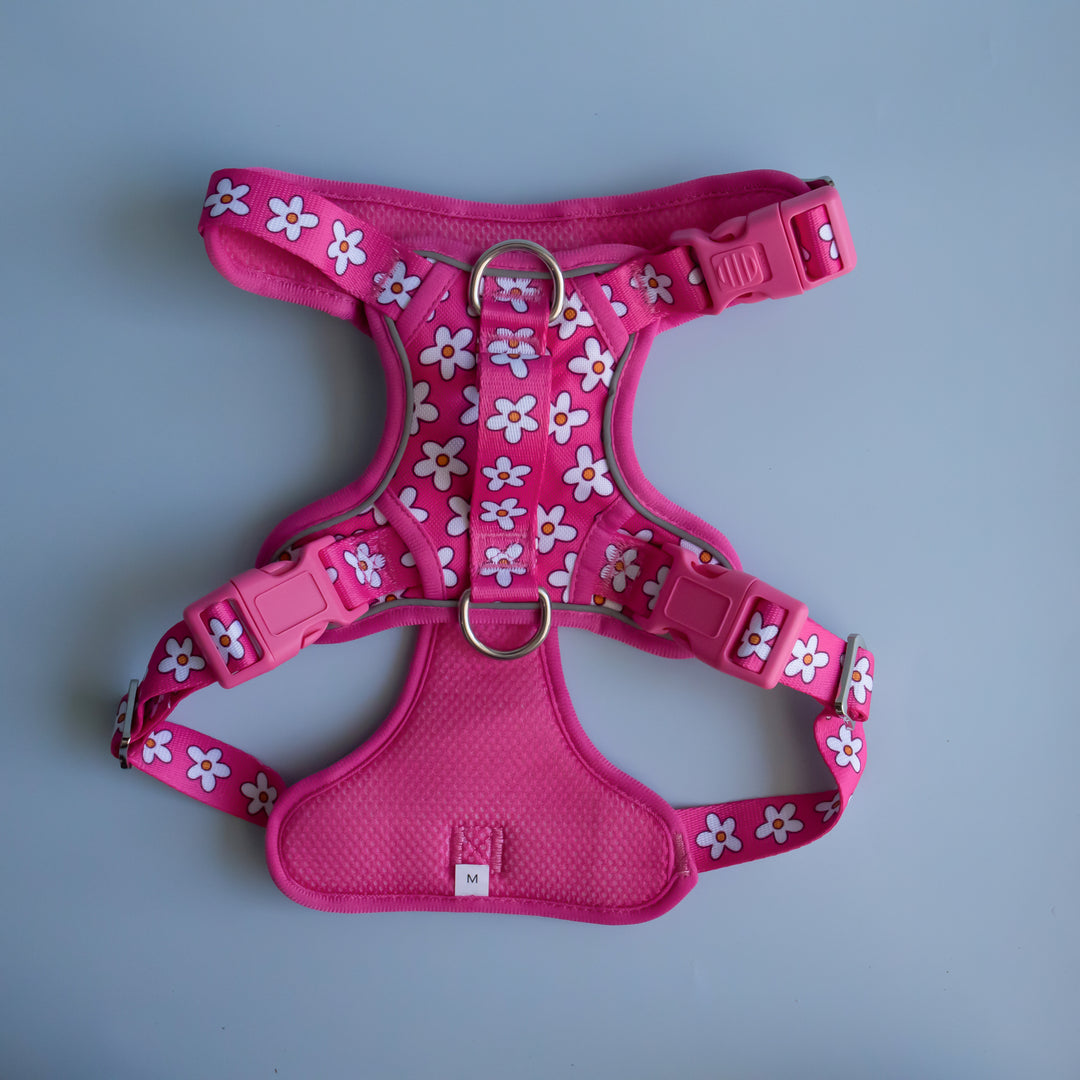 Darling Daisy: No Pull Dog Harness