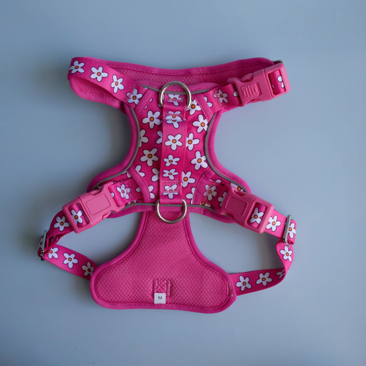 Darling Daisy: No Pull Dog Harness