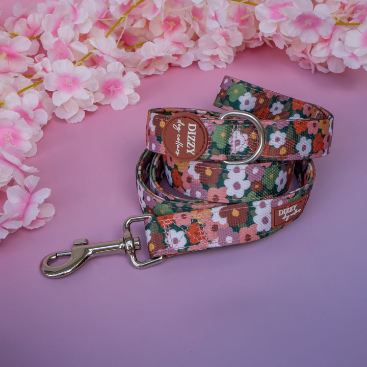 Autumn Acres  Dog Leash Fully Padded Leash