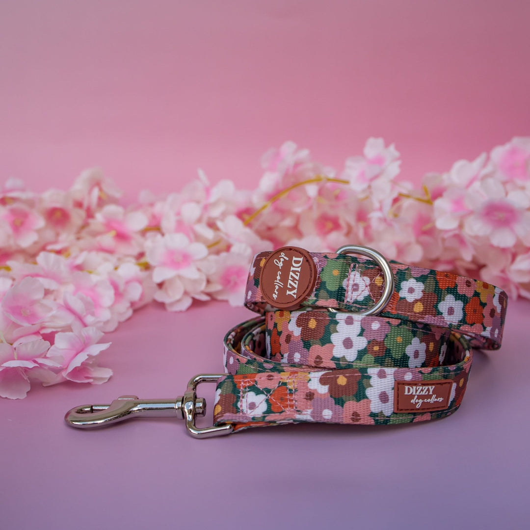 Autumn Acres  Dog Leash Fully Padded Leash