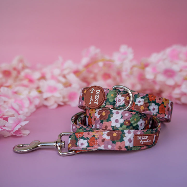 Autumn Acres  Dog Leash Fully Padded Leash