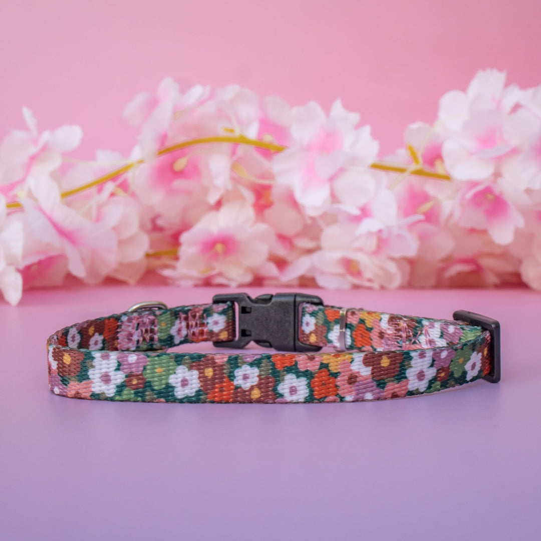 Autumn Acres Cat Collar | Toy Breed Dog Collar