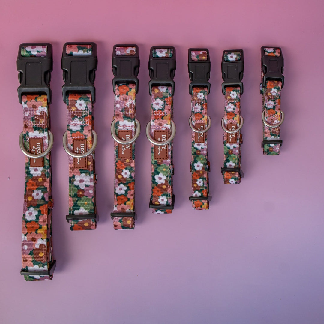 Autumn Acres Dog Collar | Neoprene Padded | Stainless Steel Hardware