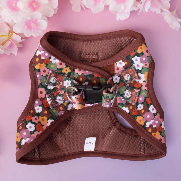 Floral-patterned dog harness on a pink background with flowers.