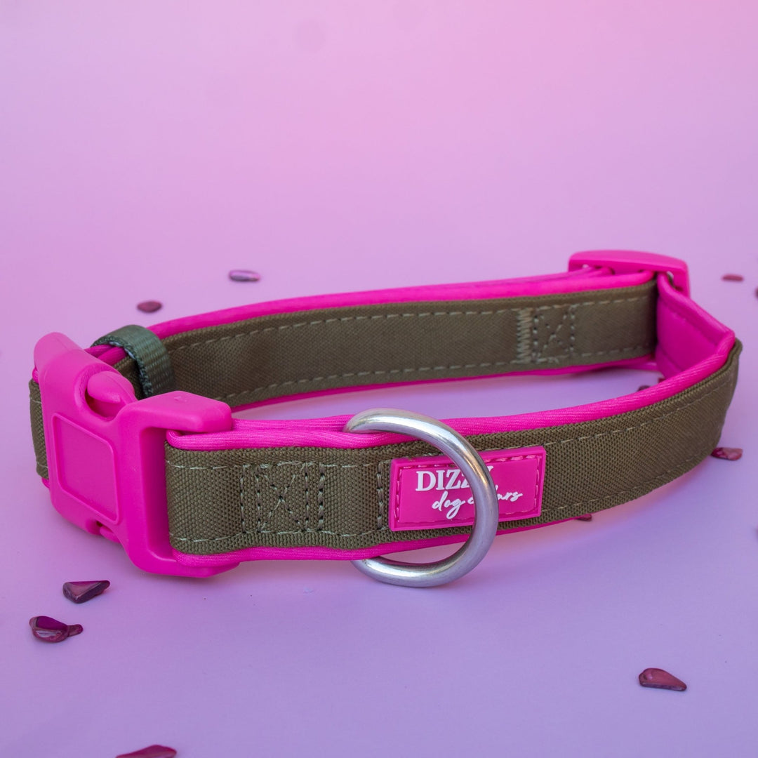 The Fig Dog Collar | Neoprene Padded | Olive & Hot Pink | Stainless Steel D-Ring