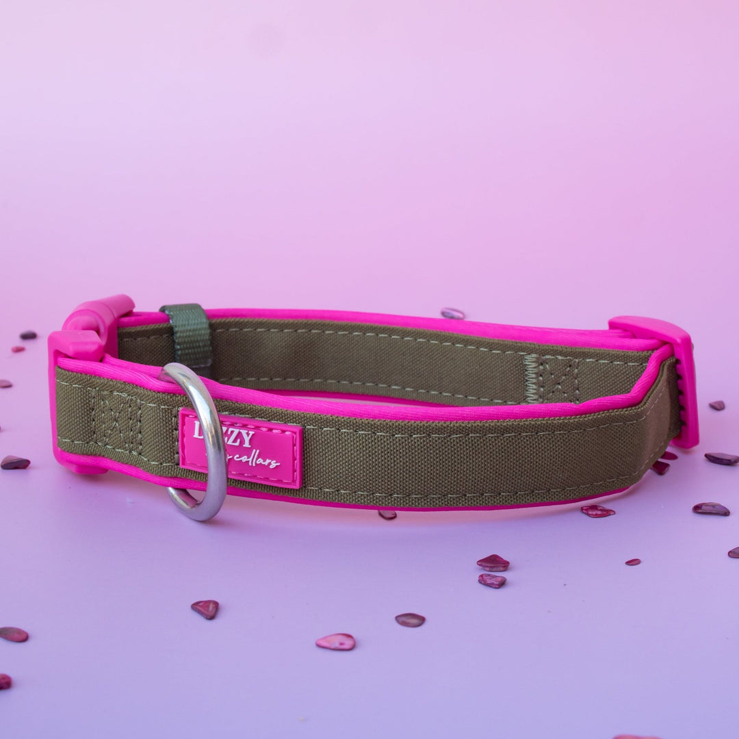 The Fig Dog Collar | Neoprene Padded | Olive & Hot Pink | Stainless Steel D-Ring