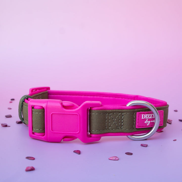 The Fig Dog Collar | Neoprene Padded | Olive & Hot Pink | Stainless Steel D-Ring
