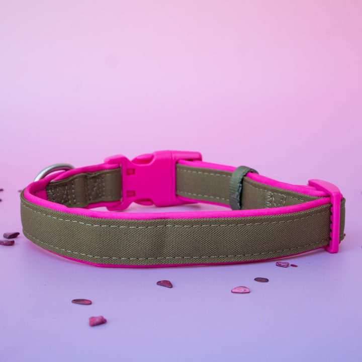 The Fig Dog Collar | Neoprene Padded | Olive & Hot Pink | Stainless Steel D-Ring