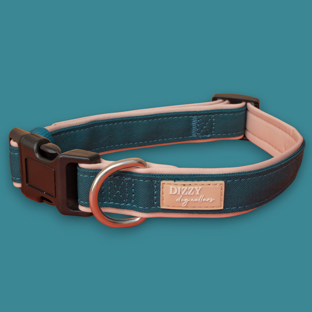 The Cove Dog Collar | Canvas & Neoprene