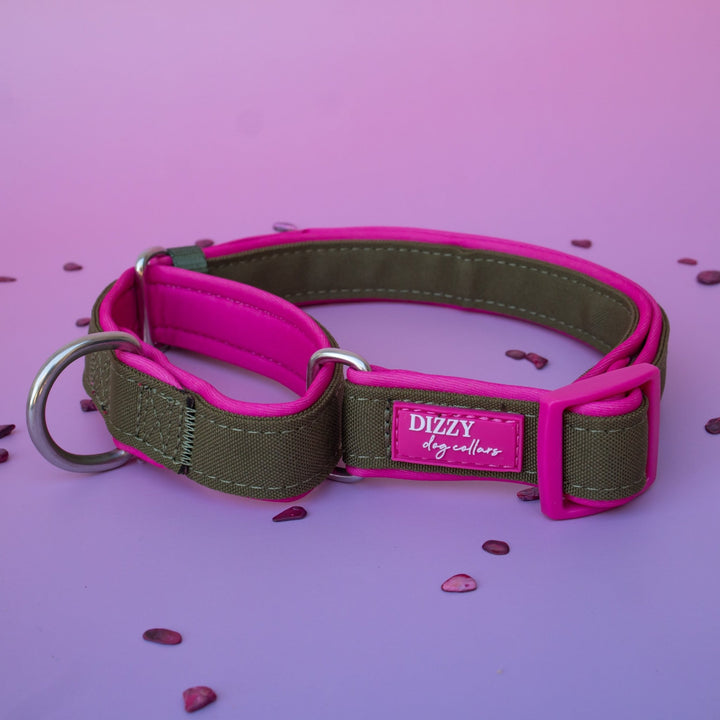 Martingale Dog Collar - The Fig: Stainless Steel
