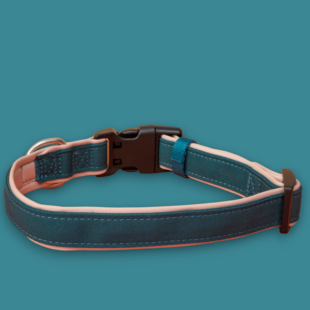 The Cove Dog Collar | Canvas & Neoprene