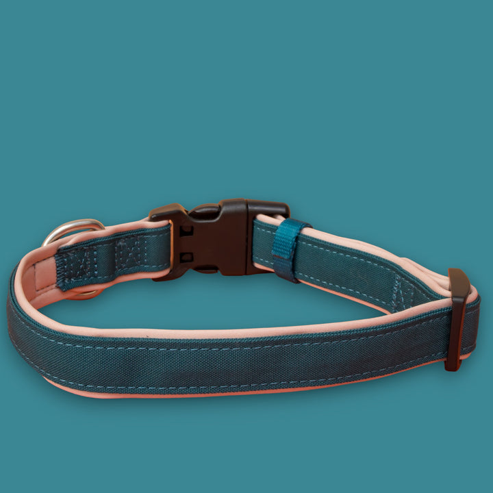 The Cove Dog Collar | Canvas & Neoprene