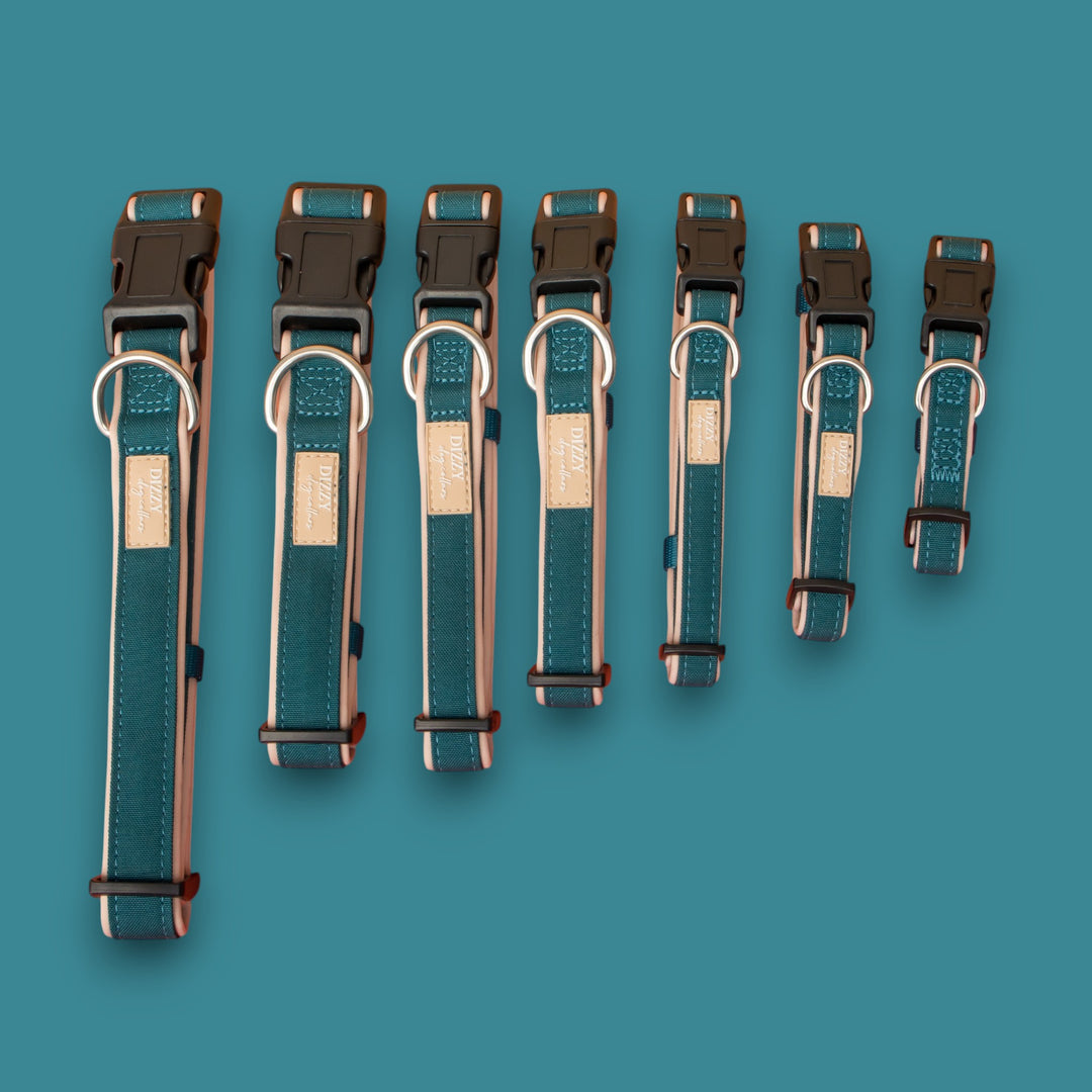 The Cove Dog Collar | Canvas & Neoprene