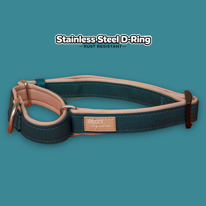 The Cove Martingale Dog Collar | Canvas & Neoprene