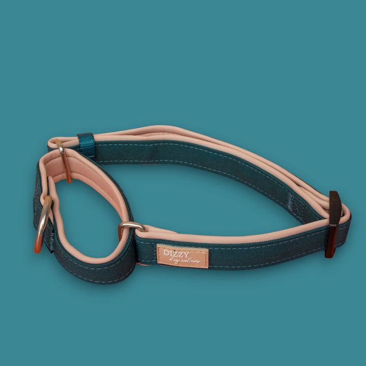 The Cove Martingale Dog Collar | Canvas & Neoprene
