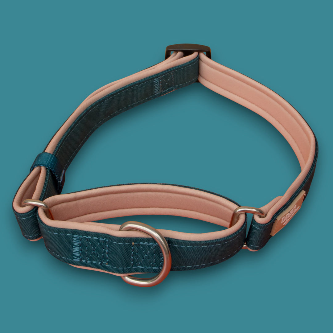 The Cove Martingale Dog Collar | Canvas & Neoprene