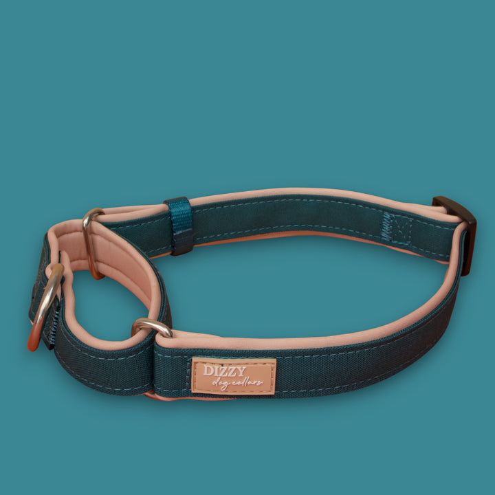 The Cove Martingale Dog Collar | Canvas & Neoprene