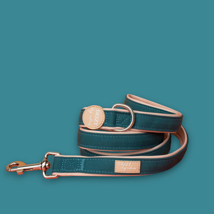 The Cove Dog Leash | Fully Padded Canvas & Neoprene
