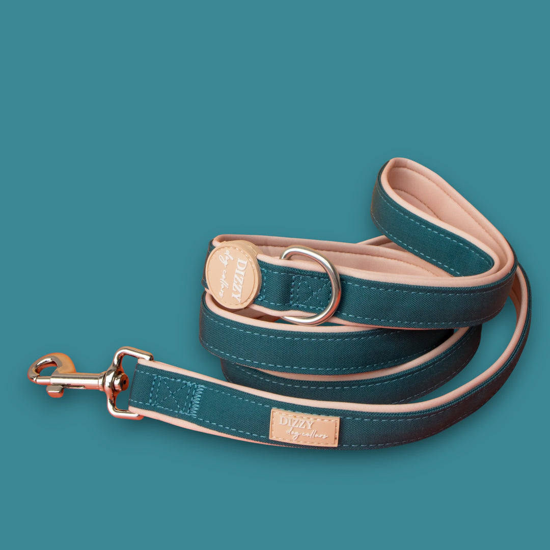 The Cove Dog Leash | Fully Padded Canvas & Neoprene