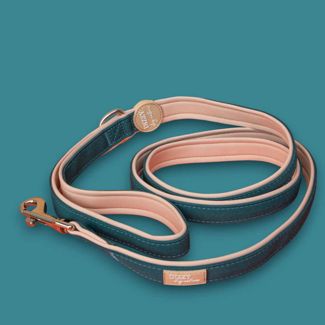 The Cove Dog Leash | Fully Padded Canvas & Neoprene