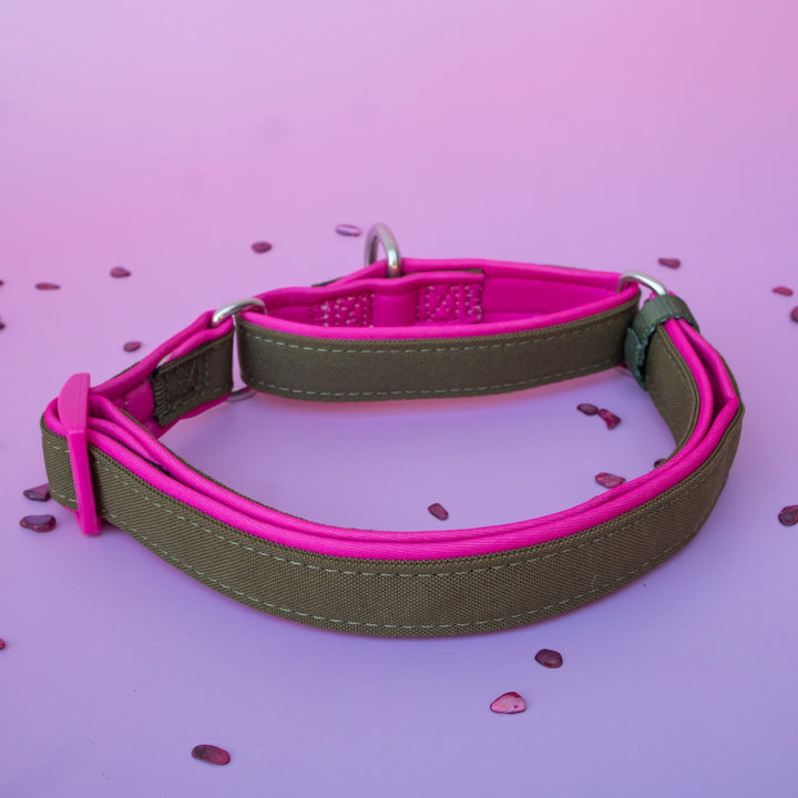 Martingale Dog Collar - The Fig: Stainless Steel