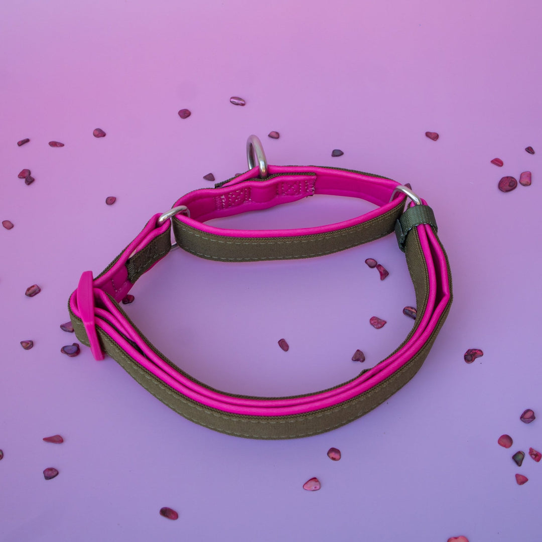 Martingale Dog Collar - The Fig: Stainless Steel