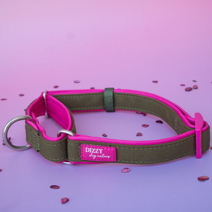 Martingale Dog Collar - The Fig: Stainless Steel