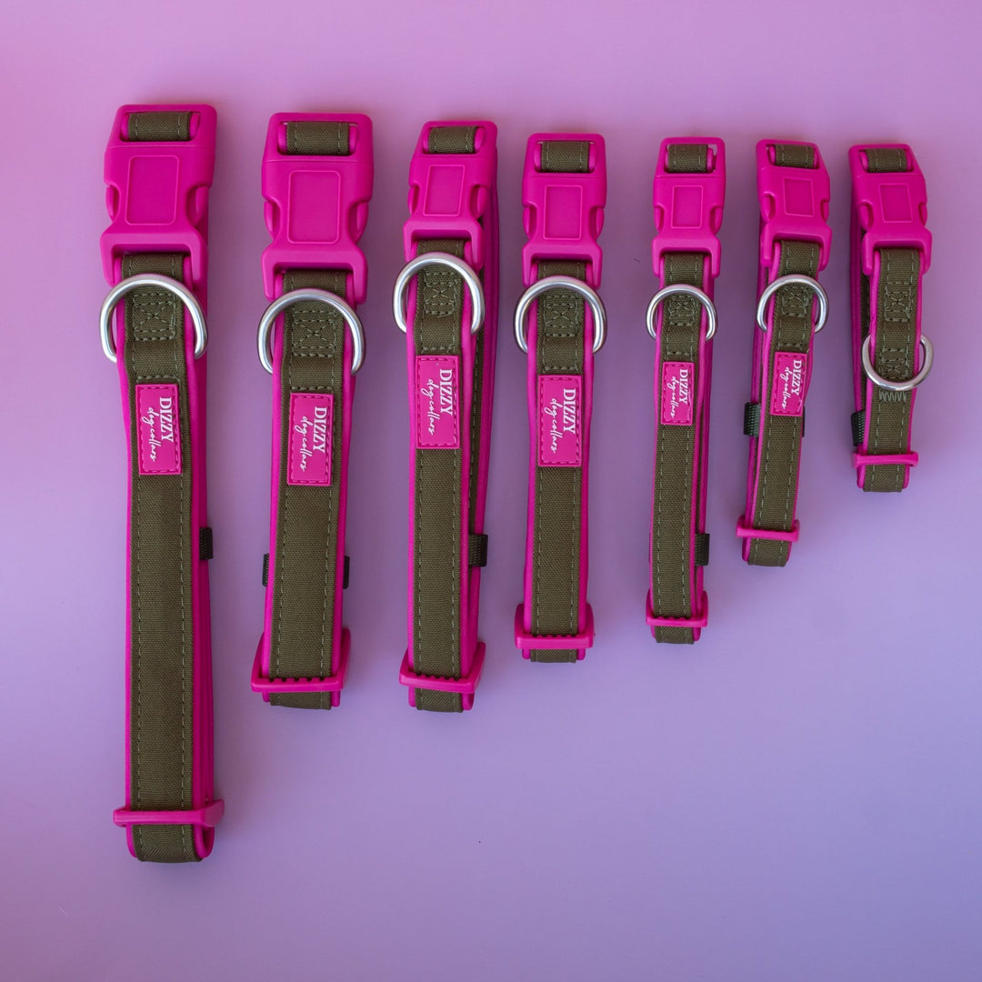The Fig Dog Collar | Neoprene Padded | Olive & Hot Pink | Stainless Steel D-Ring