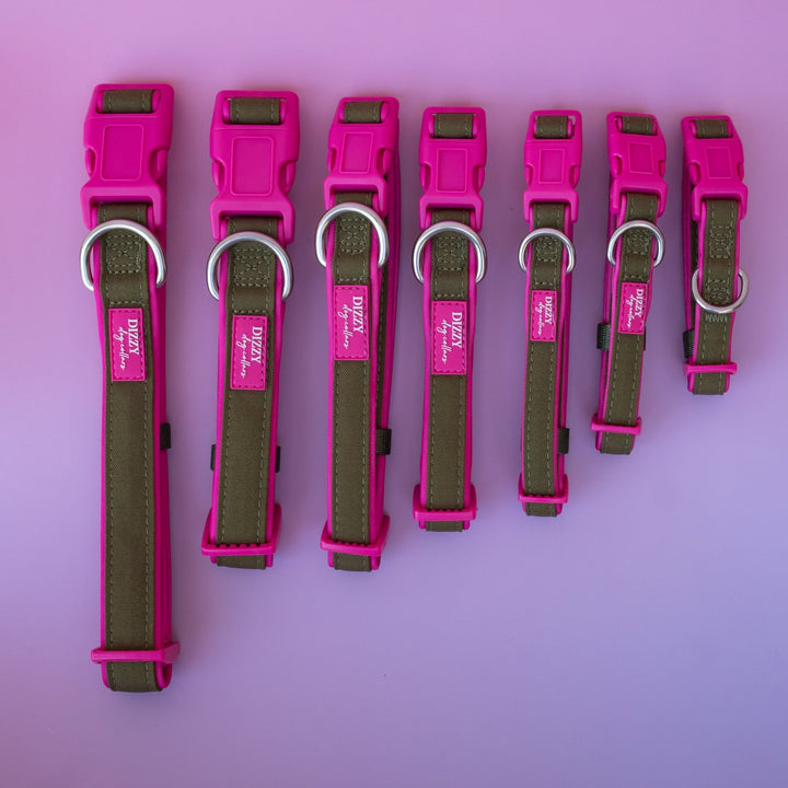 The Fig Dog Collar | Neoprene Padded | Olive & Hot Pink | Stainless Steel D-Ring