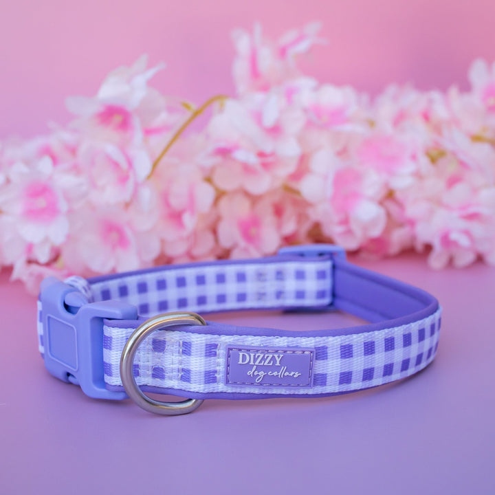 Lavender Gingham Dog Collar | Neoprene Dog Collar | Stainless Steel