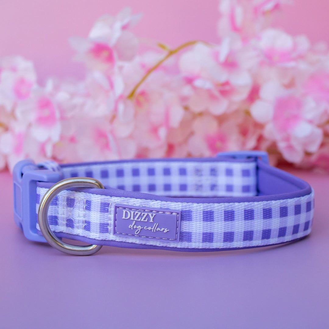 Lavender Gingham Dog Collar | Neoprene Dog Collar | Stainless Steel