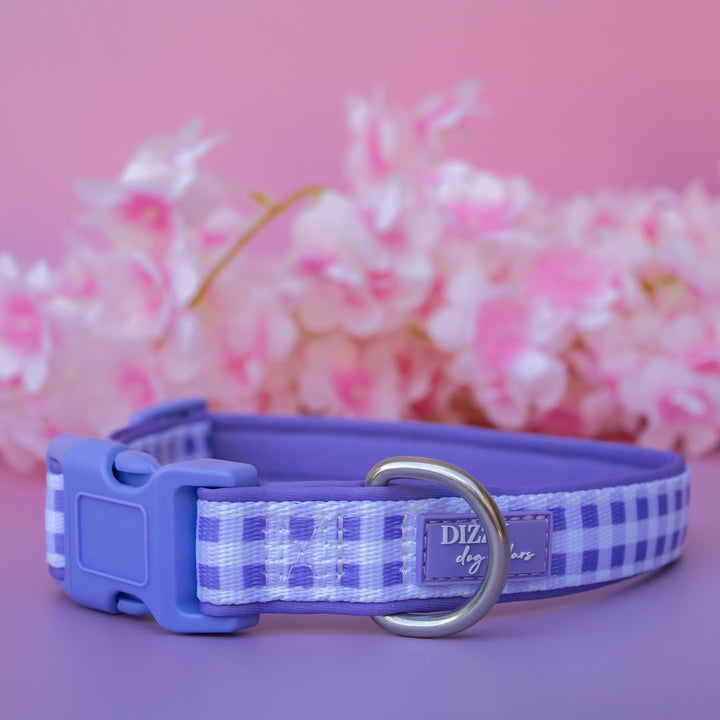 Lavender Gingham Dog Collar | Neoprene Dog Collar | Stainless Steel