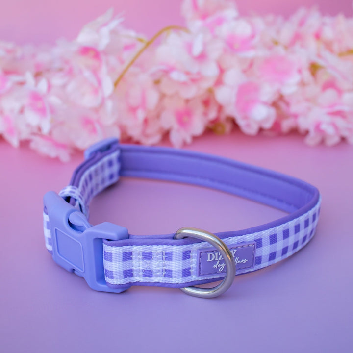Lavender Gingham Dog Collar | Neoprene Dog Collar | Stainless Steel