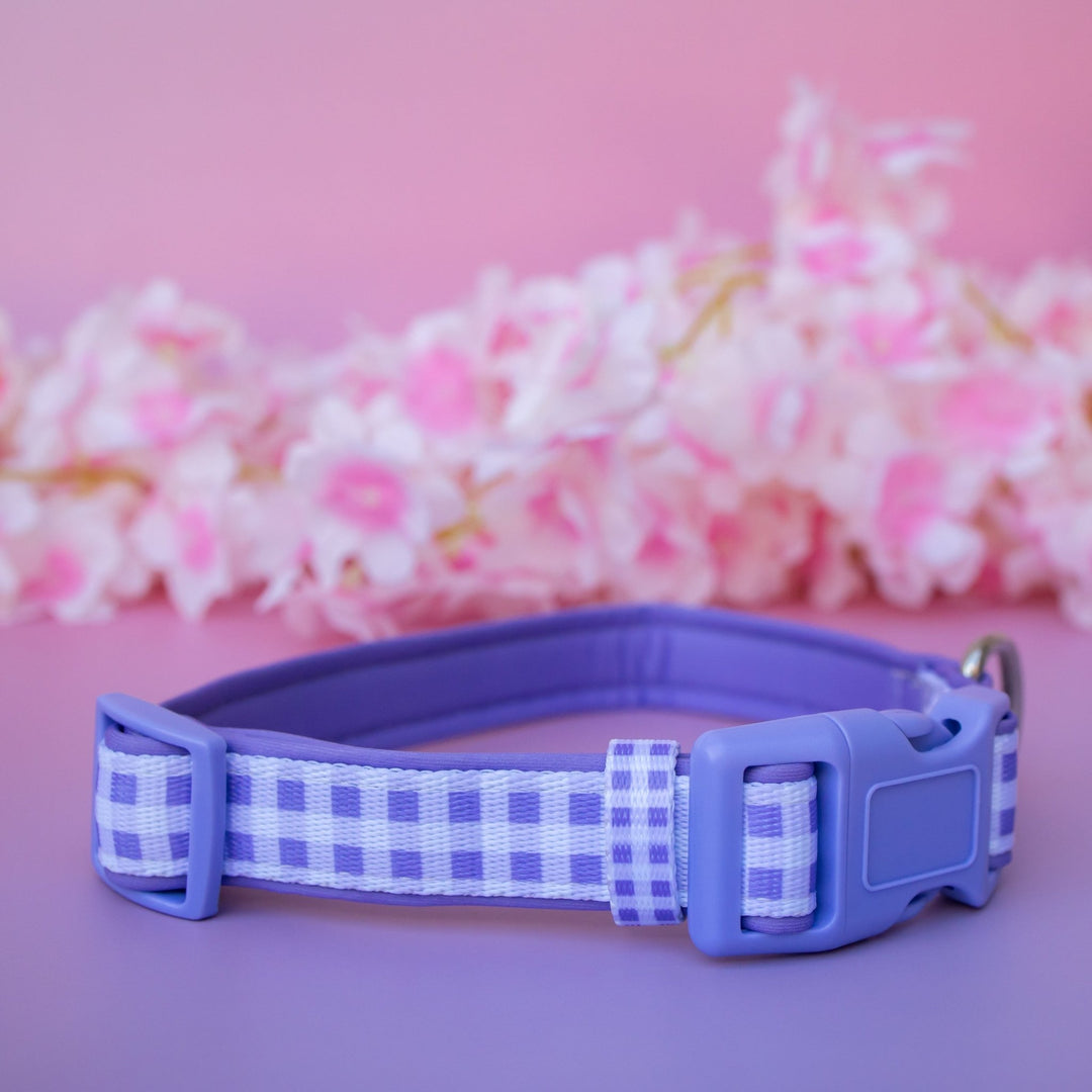 Lavender Gingham Dog Collar | Neoprene Dog Collar | Stainless Steel