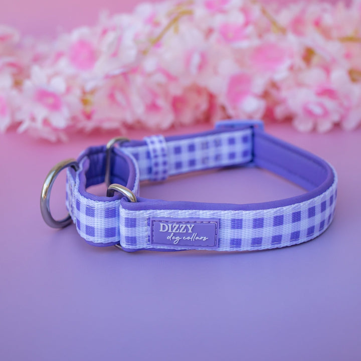 Martingale Dog Collar | Lavender Gingham
