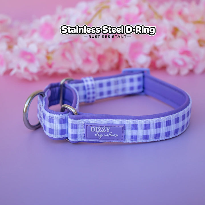 Martingale Dog Collar | Lavender Gingham