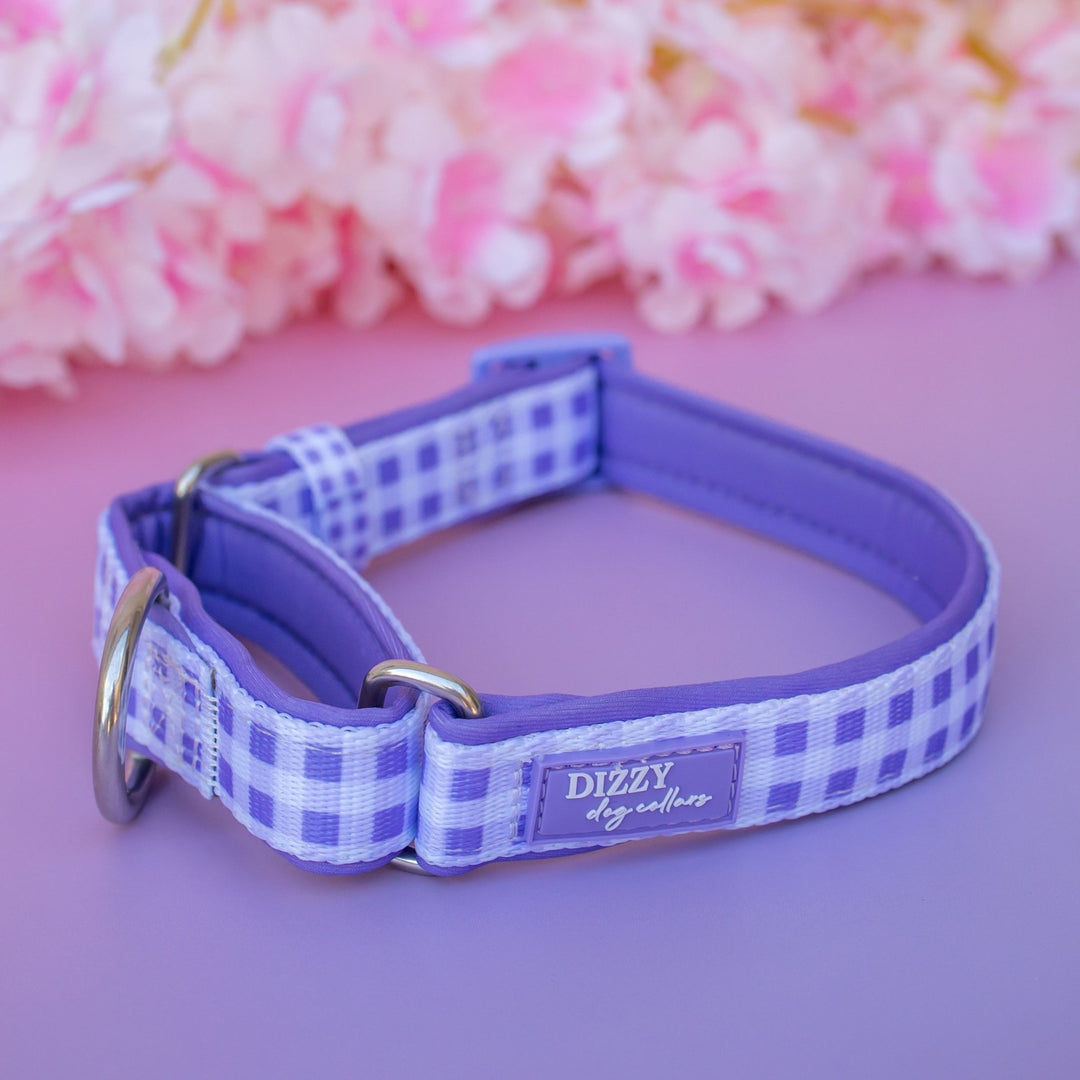 Martingale Dog Collar | Lavender Gingham