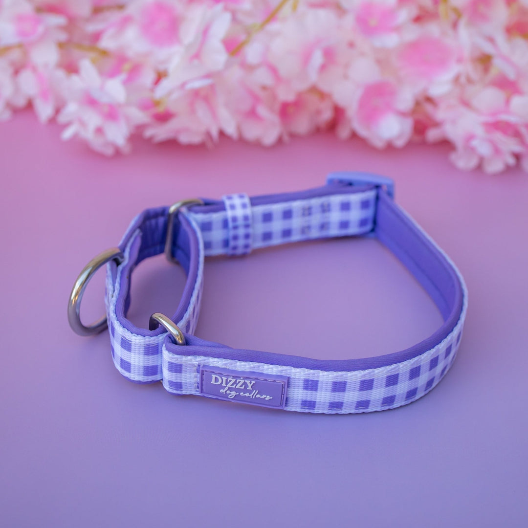 Martingale Dog Collar | Lavender Gingham
