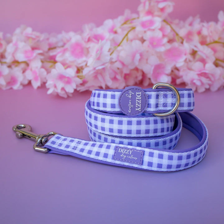 Lavender Gingham Dog Leash | Fully Padded Neoprene Lead