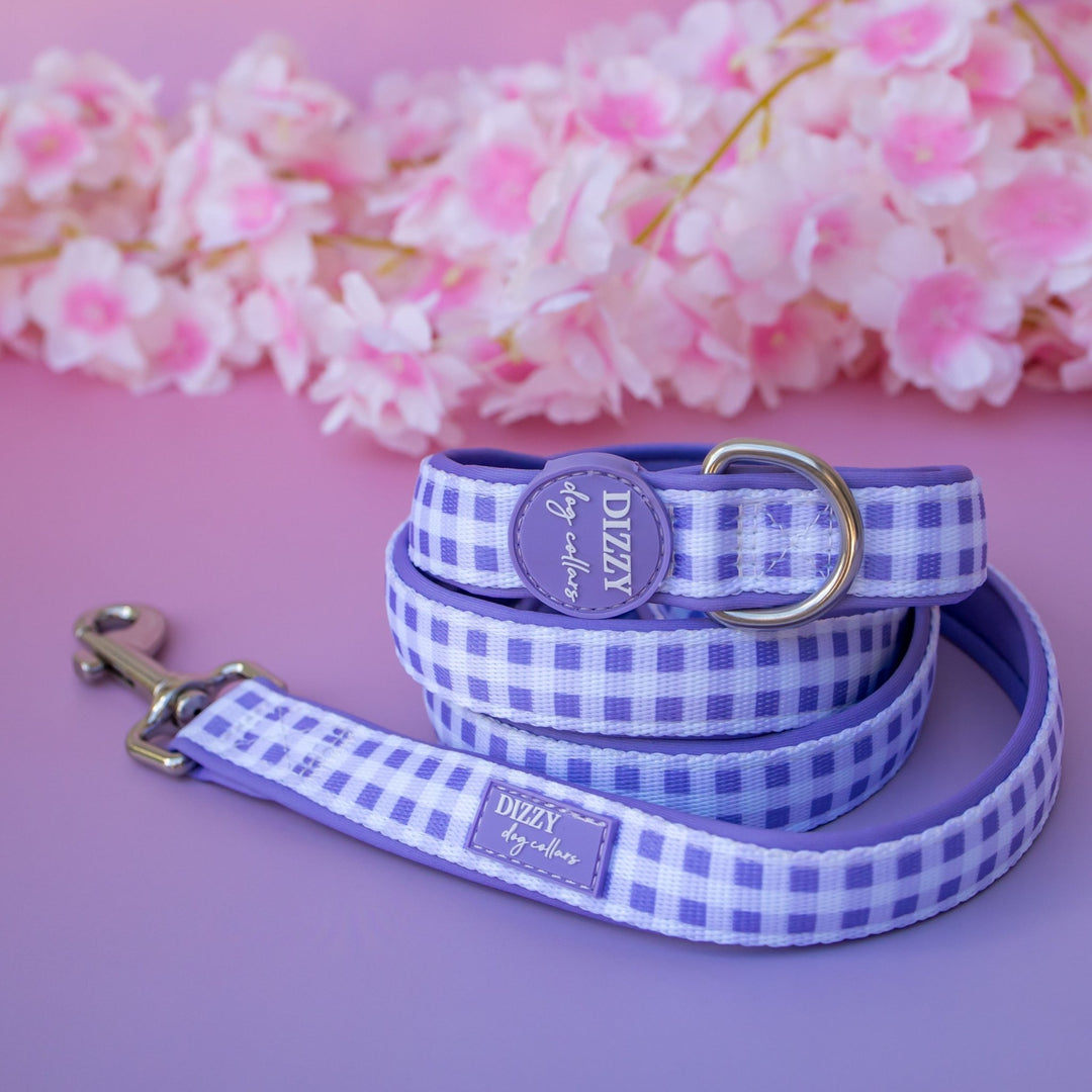 Lavender Gingham Dog Leash | Fully Padded Neoprene Lead