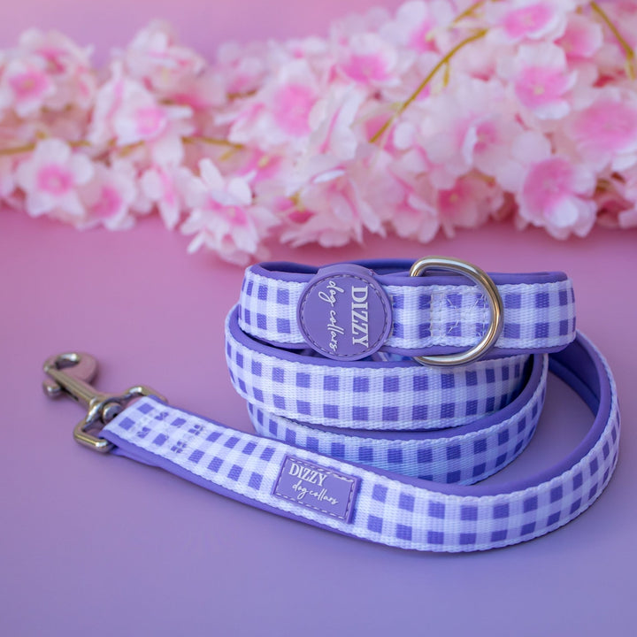 Lavender Gingham Dog Leash | Fully Padded Neoprene Lead