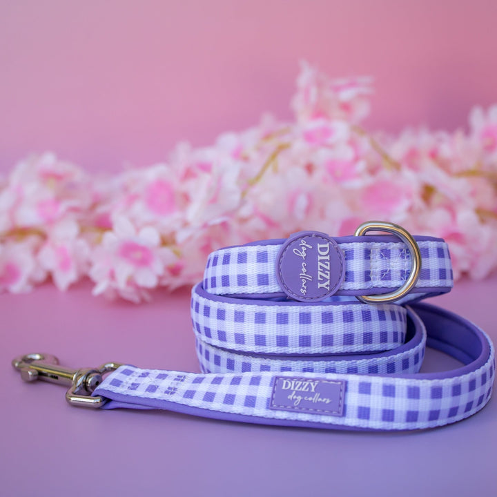 Lavender Gingham Dog Leash | Fully Padded Neoprene Lead