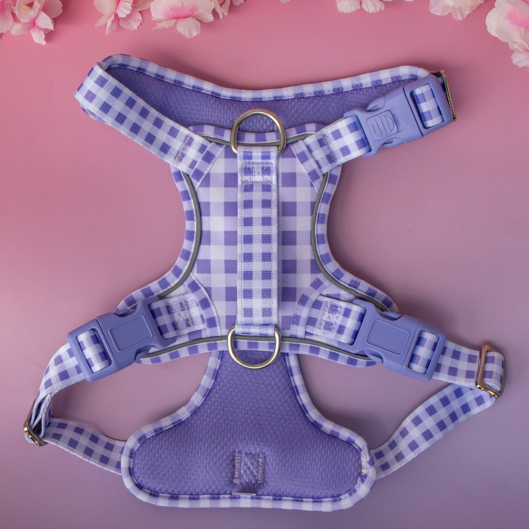 No Pull Harness with Handle | Lavender Gingham | Stainless Steel & Reflective | Step In
