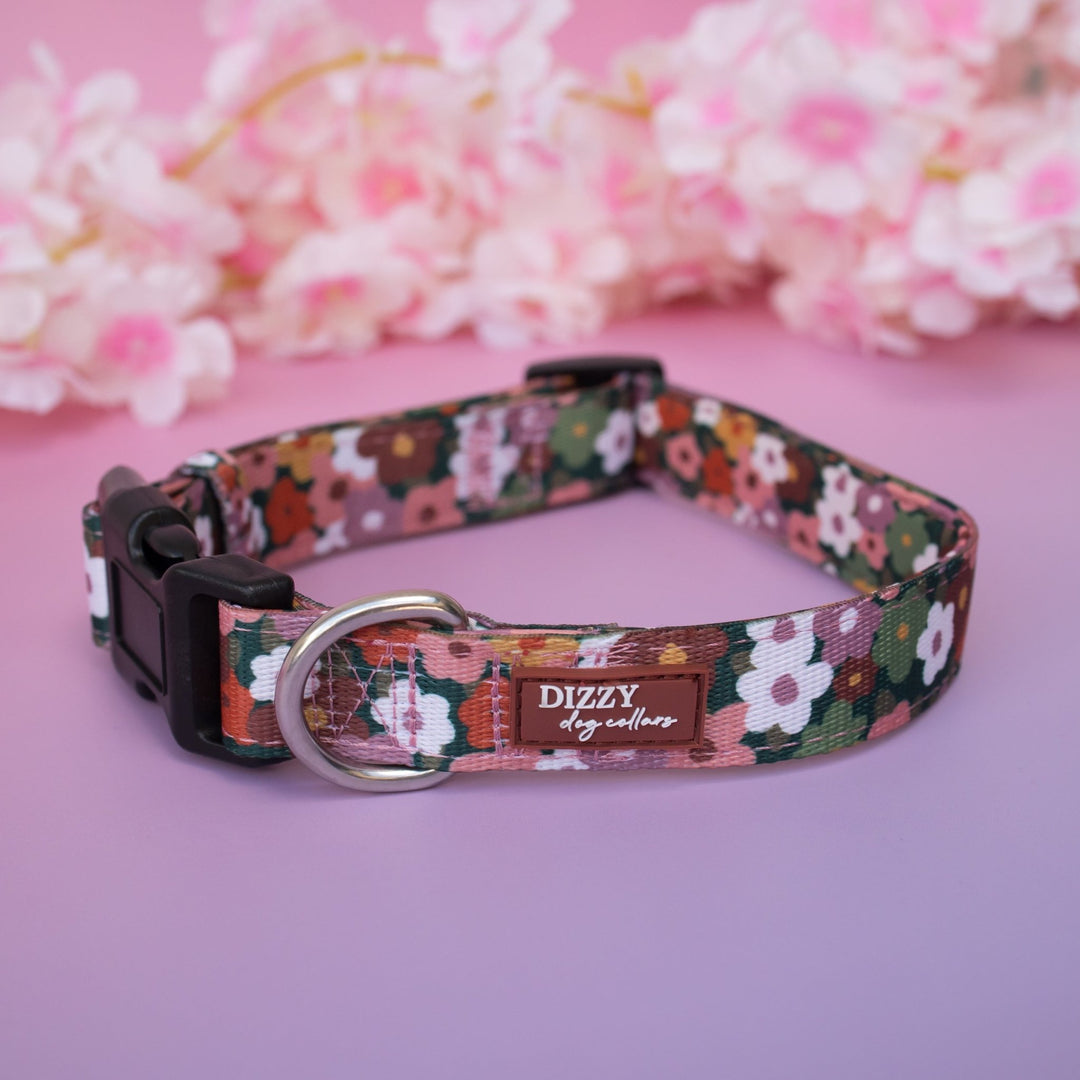 Autumn Acres Dog Collar | Neoprene Padded | Stainless Steel Hardware