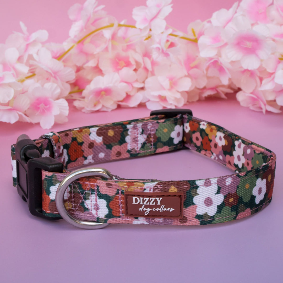 Autumn Acres Dog Collar | Neoprene Padded | Stainless Steel Hardware