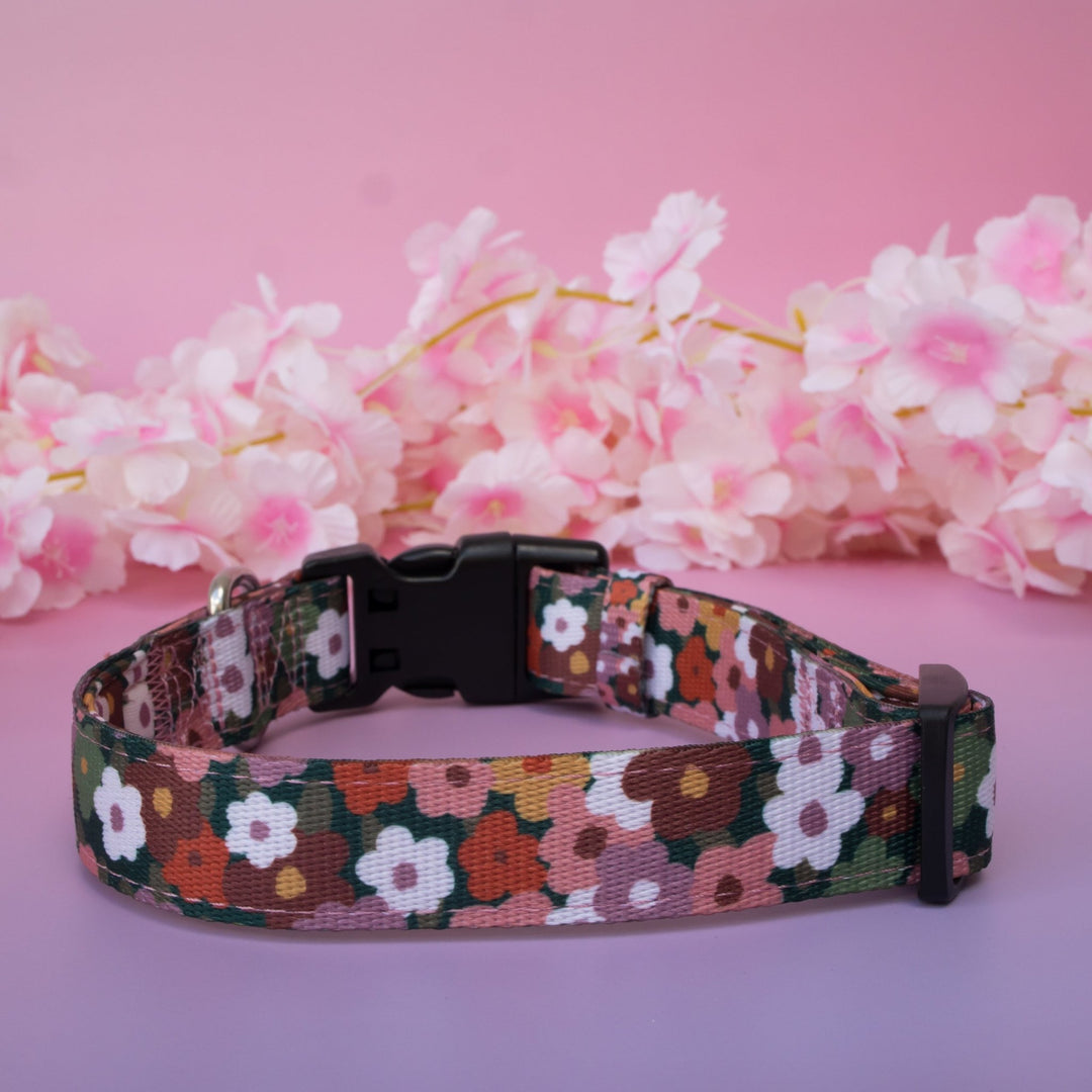 Autumn Acres Dog Collar | Neoprene Padded | Stainless Steel Hardware