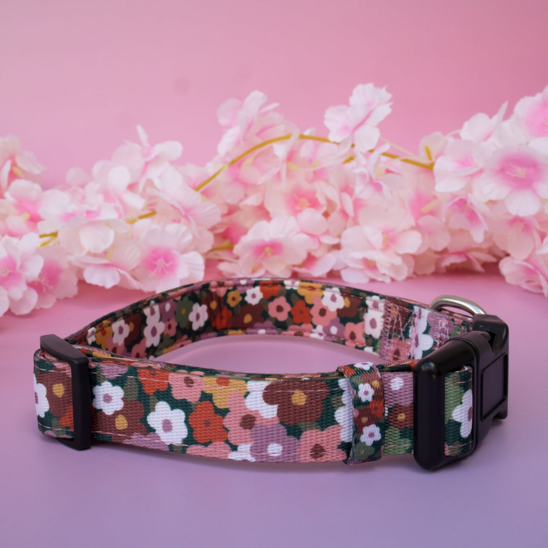 Autumn Acres Dog Collar | Neoprene Padded | Stainless Steel Hardware