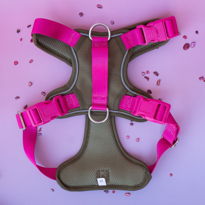 No Pull Dog Harness | Step-In Design with Handle | Reflective & Padded | The Fig: Stainless Steel